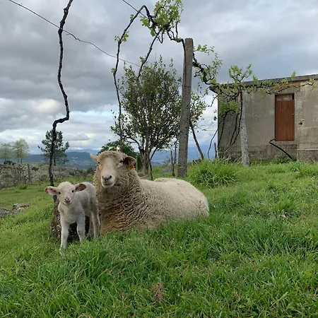 Quinta De Fonte Coberta *