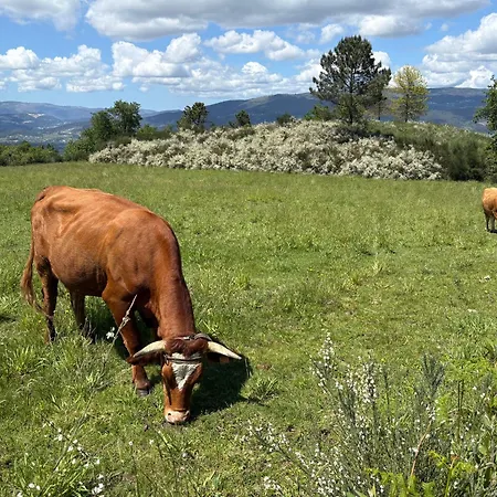 Quinta De Fonte Coberta Сasa de vacaciones Ponte da Barca