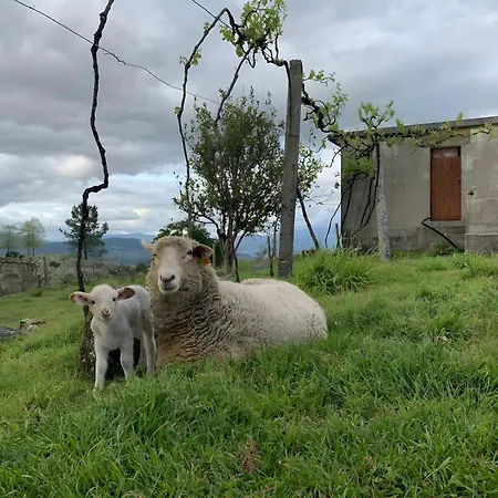 Сasa de vacaciones Quinta De Fonte Coberta *