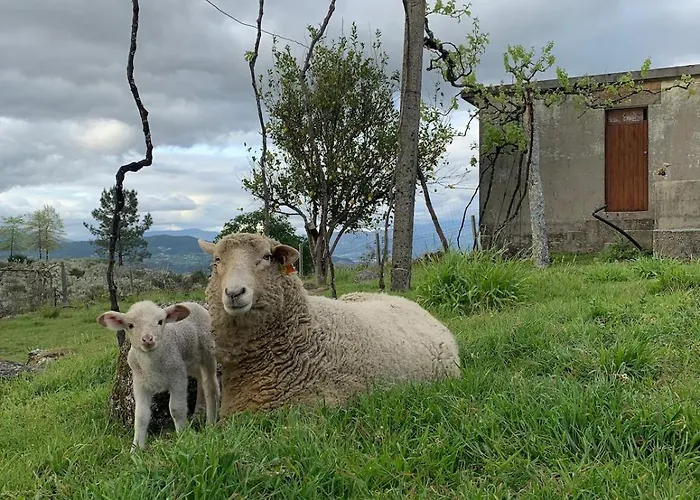 Quinta De Fonte Coberta *