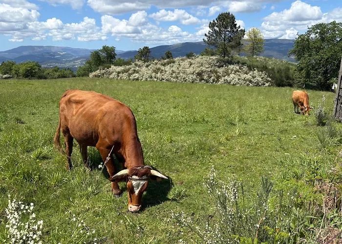 Quinta De Fonte Coberta Ferienhaus Ponte da Barca